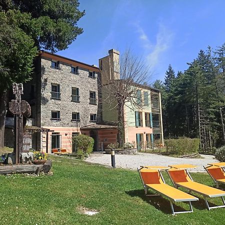 Il Bosco Di Campo Marzano Studios Borzonasca Dış mekan fotoğraf